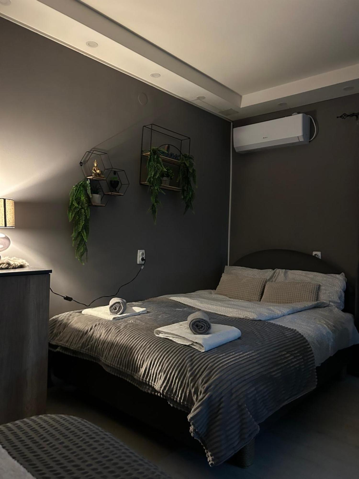 Beta House Apartments Zajecar Bagian luar foto